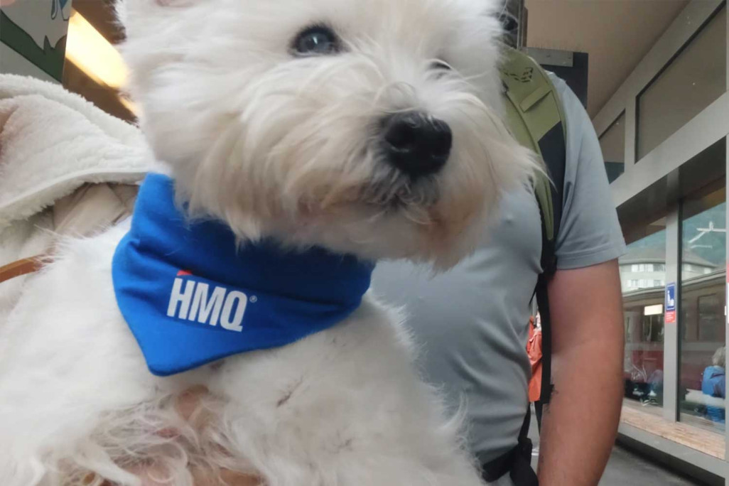 HMQ 50 ans - Comment s'y rendre