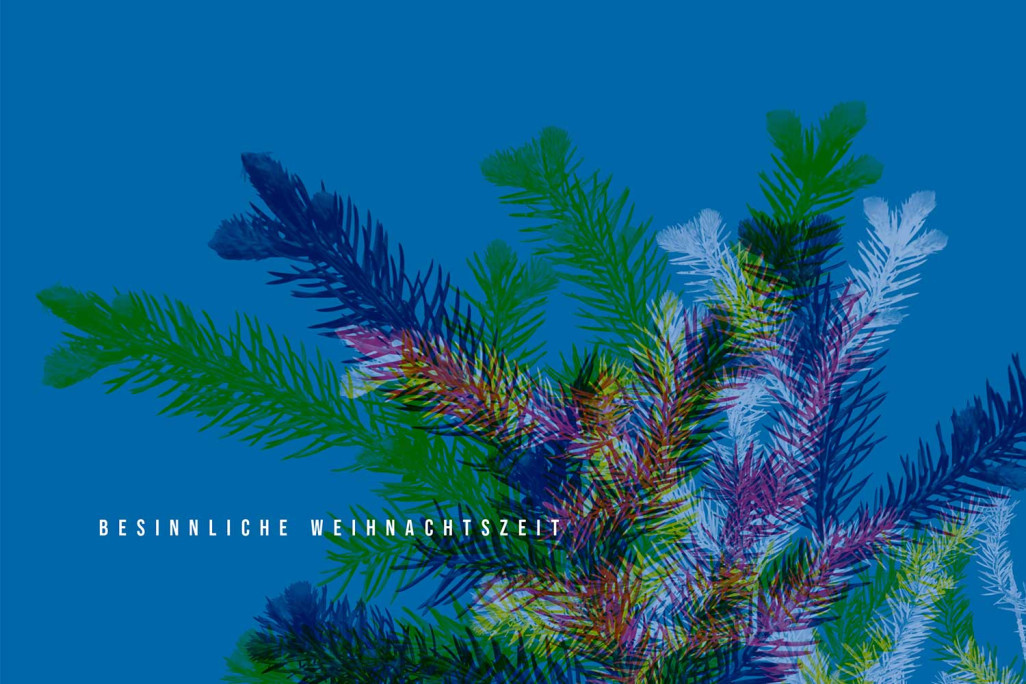 HMQ AG vous souhaite un joyeux Noël