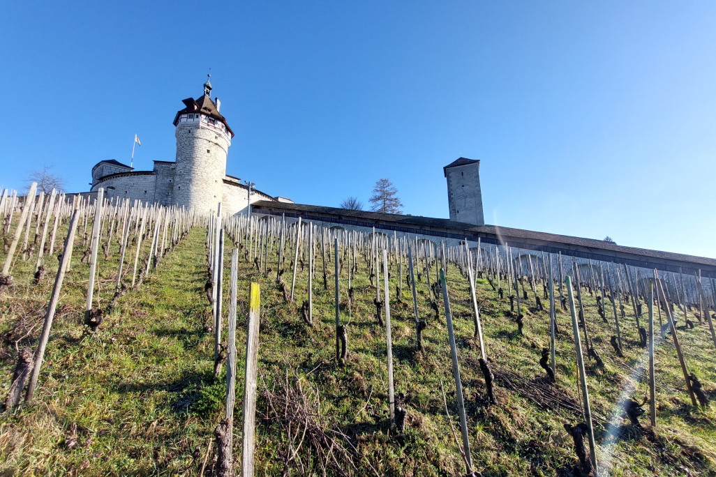 Base de planification du Munot à Schaffhouse, HMQ AG